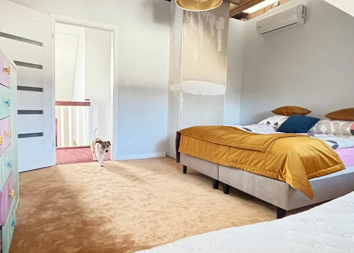 Mazuria Dworek Z Brzegiem Jeziora śniardwy Dom wakacyjny *